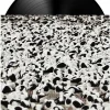 Stella Donnelly - Flood LP Vinyl Record Vinyl Record