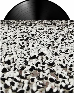 Stella Donnelly - Flood LP Vinyl Record Vinyl Record