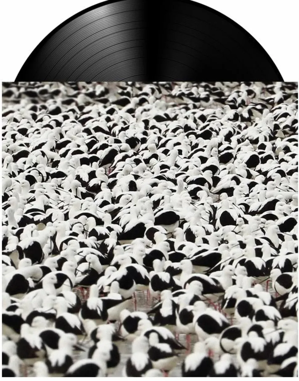 Stella Donnelly - Flood LP Vinyl Record Vinyl Record