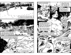 Strangers in Paradise - Volume 01 Trade Paperback Book