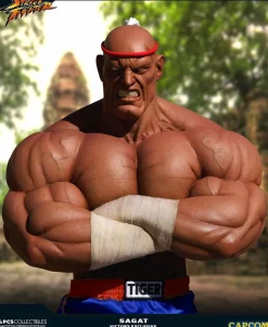 Street Fighter - Sagat Evolution (Set of 2) Exclusive 1/3 Scale Statues