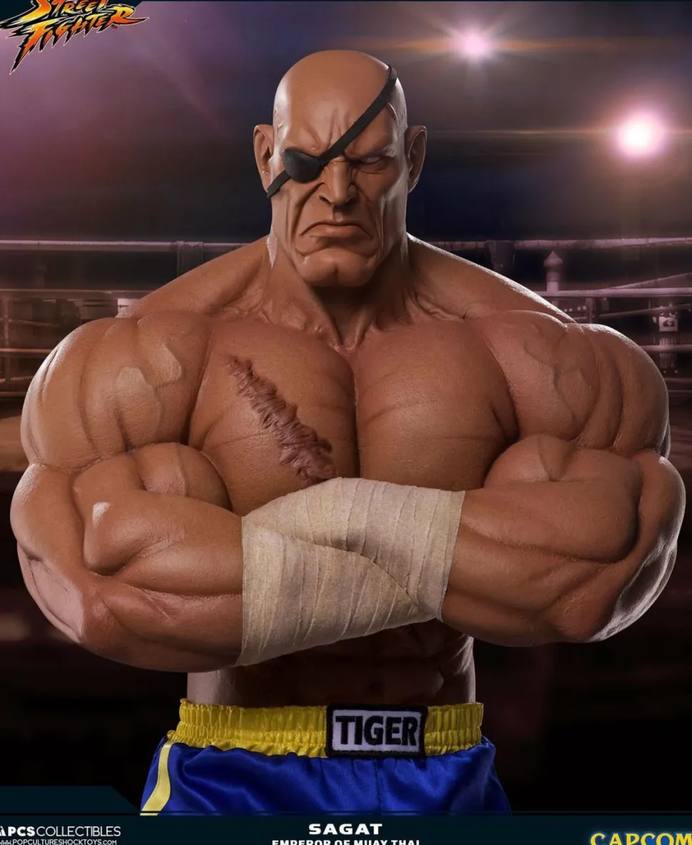 Street Fighter - Sagat Evolution (Set of 2) Exclusive 1/3 Scale Statues