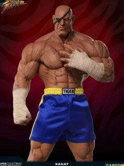 Street Fighter - Sagat Evolution (Set of 2) Exclusive 1/3 Scale Statues