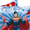 Superman - In Flight Mighty Wallet