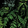 Swamp Thing - Saga of the Swamp Thing Book 04 Trade Paperback