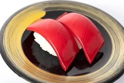 Syuto Seiko - Tuna Sushi 1:1 Scale Life-Size Plastic Model Kit Replica