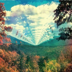 Tame Impala - Innerspeaker 2xLP Vinyl Record
