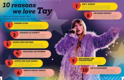 Taylor Swift - The Essential Taylor Swift Fanbook Hardcover Book