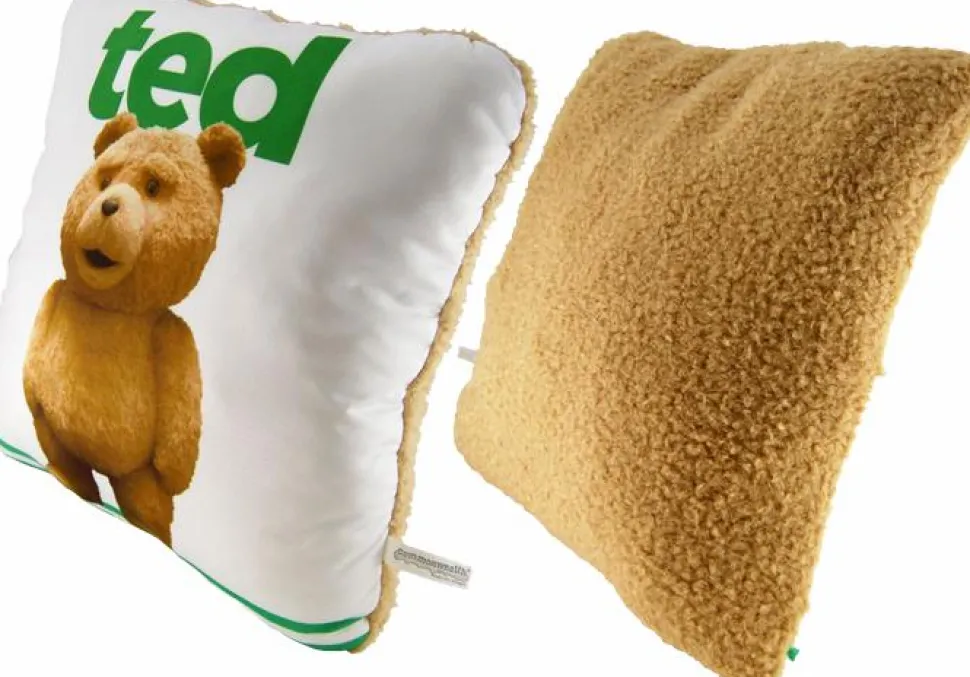 Ted - 14" Talking Pillow (R-Rated Version) (Int Sales Only)