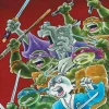 Teenage Mutant Ninja Turtles/Usagi Yojimbo - WhereWhen Trade Paperback Book