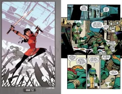 Teenage Mutant Ninja Turtles - The IDW Collection Volume 02 Trade Paperback Book