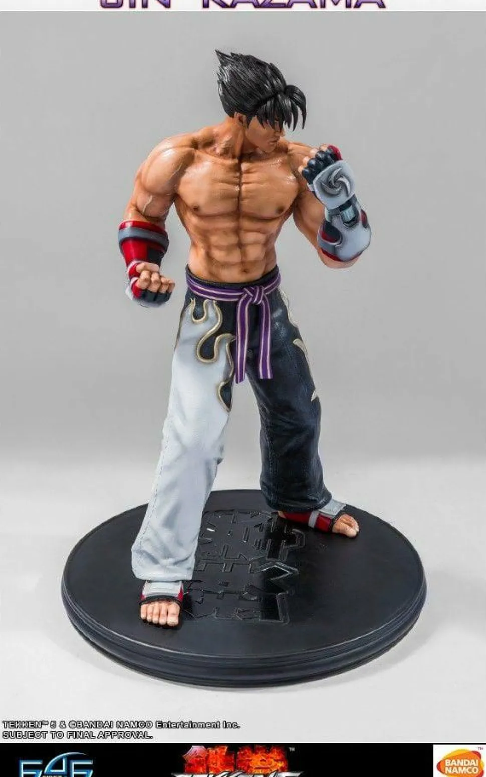 Tekken 5 - Jin Kazama 1/4 Scale Statue