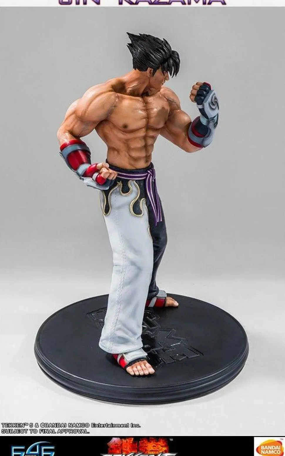 Tekken 5 - Jin Kazama 1/4 Scale Statue