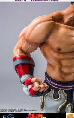 Tekken 5 - Jin Kazama 1/4 Scale Statue