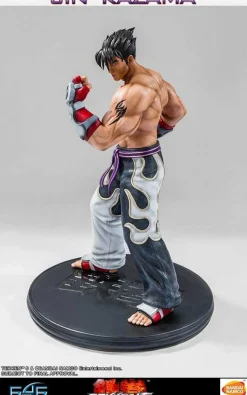 Tekken 5 - Jin Kazama 1/4 Scale Statue