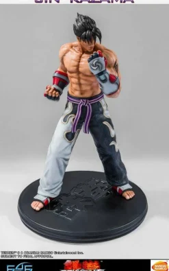 Tekken 5 - Jin Kazama 1/4 Scale Statue