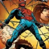 The Amazing Spider-Man - One More Day Gallery Edition Hardcover Book
