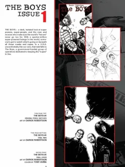 The Boys - The Art of The Boys: The Complete Covers by Darick Robertson Hardcover Book