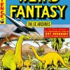 The EC Archives - Weird Fantasy Volume 03 Paperback Book