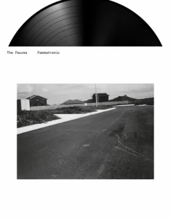 The Fauves - Faematronic LP Vinyl Record