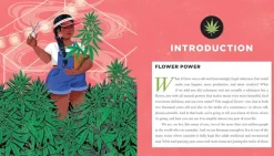The Joy of Cannabis: 75 Ways to Amplify Your Life Through the Science and Magic of Cannabis by Melanie Abrams Hardcover Book