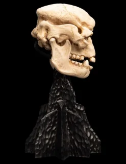 The Lord of the Rings - Skull of a Cave Troll Miniature Skull 6.5