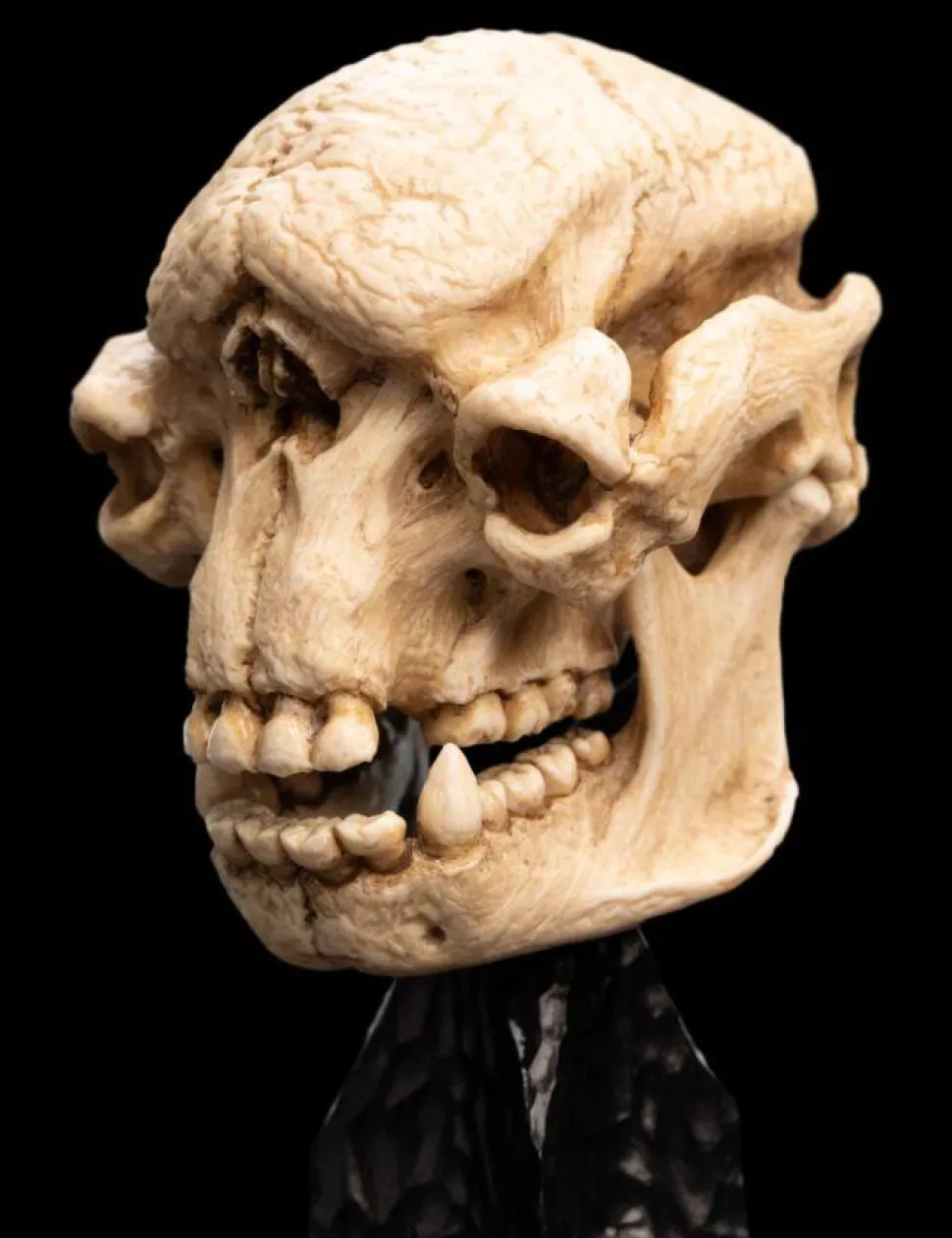 The Lord of the Rings - Skull of a Cave Troll Miniature Skull 6.5" Scaled Replica Statue