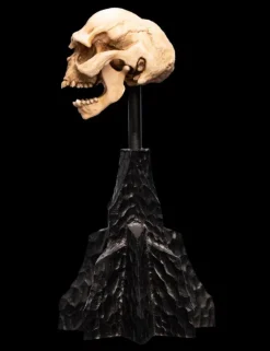 The Lord of the Rings - Skull of a Moria Orc Miniature Skull 5" Scaled Replica Statue