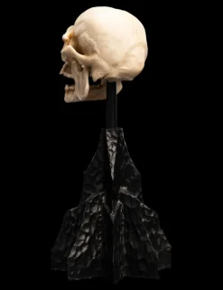 The Lord of the Rings - Skull of a Mordor Orc 6
