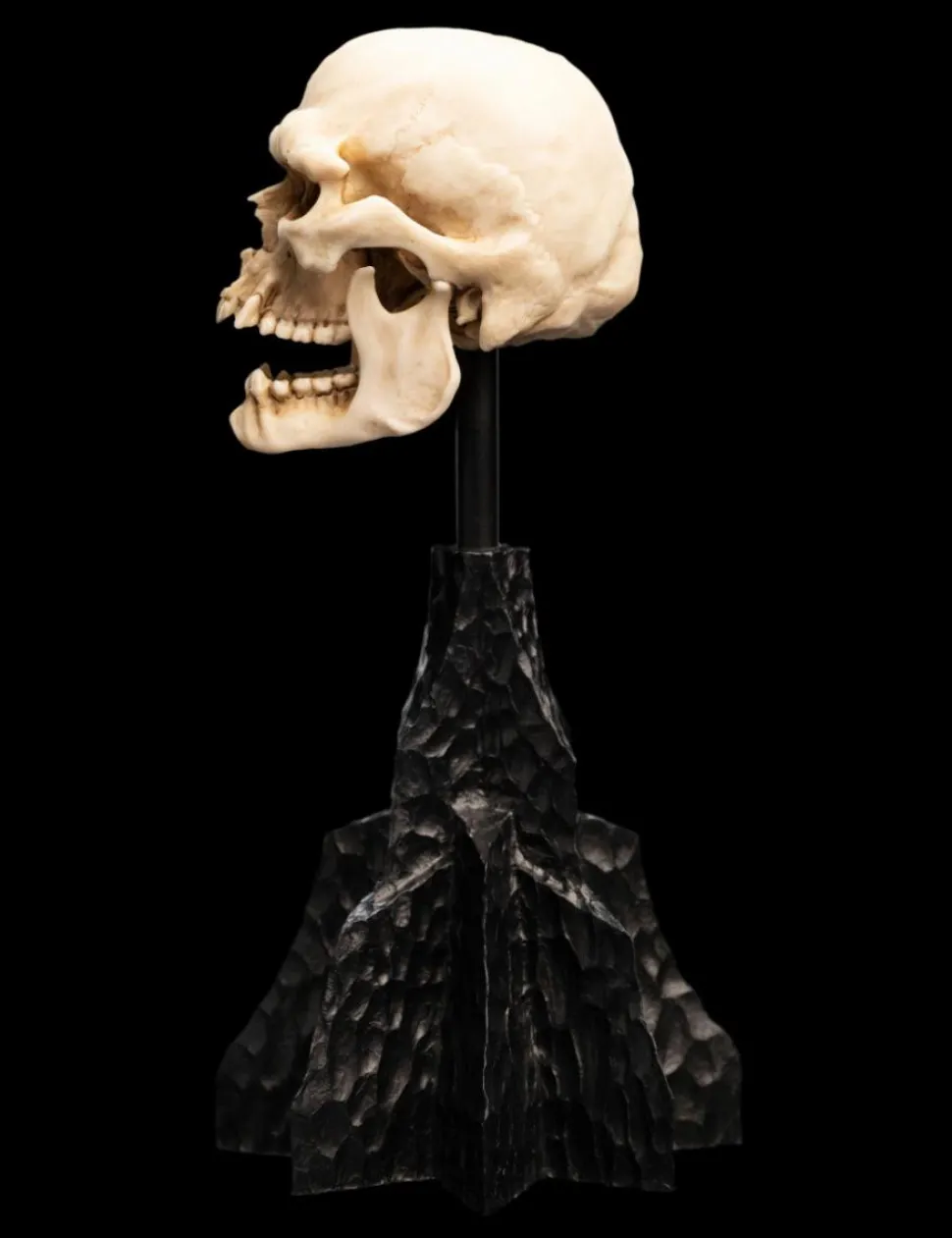 The Lord of the Rings - Skull of a Mordor Orc 6" Scaled Replica Statue