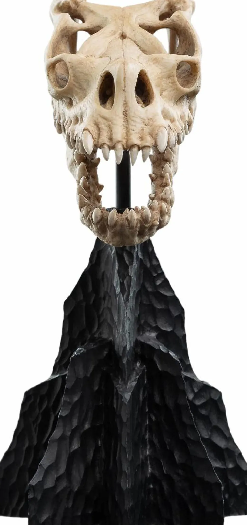The Lord of the Rings - Skull of a Fell Beast Miniature Skull 8" Scaled Replica Statue