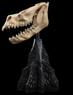 The Lord of the Rings - Skull of a Fell Beast Miniature Skull 8" Scaled Replica Statue