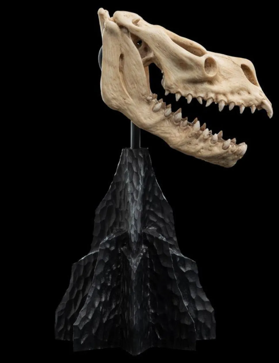 The Lord of the Rings - Skull of a Fell Beast Miniature Skull 8" Scaled Replica Statue
