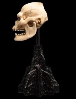 The Lord of the Rings - Skull of Lurtz Miniature Skull 6" Scaled Replica Statue