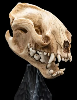 The Lord of the Rings - Skull of a Warg 8