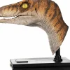 The Lost World: Jurassic Park - Male Velociraptor 1:1 Scale Life-Size Bust