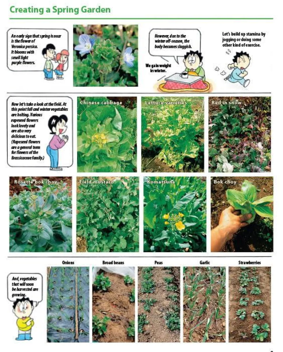 The Manga Guide to Organic Vegetable Gardening: Detailed Tips for Growing 50 Types of Vegetables, Fruits and Herbs Paperback Book