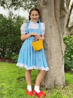 The Wizard of Oz (1939) - Toto in a Basket Costume Accessory