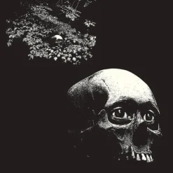 Thee Oh Sees - A Foul Form LP Vinyl Record