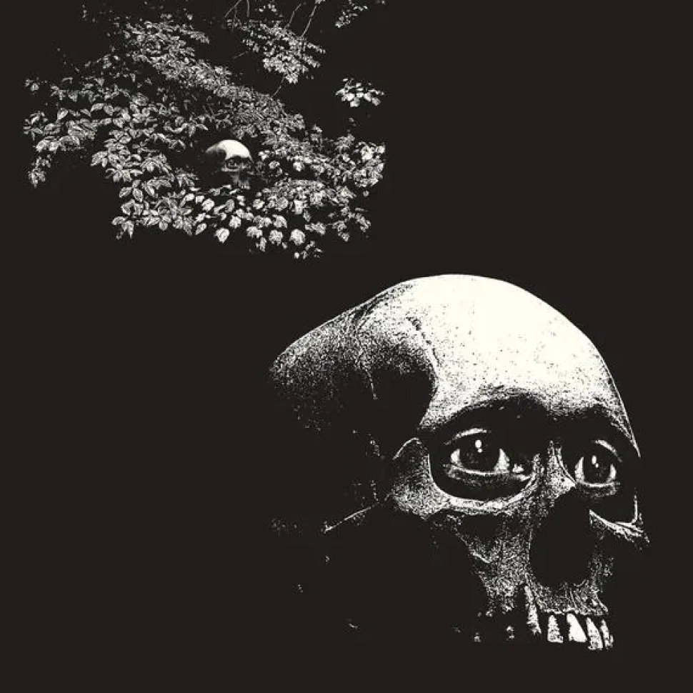 Thee Oh Sees - A Foul Form LP Vinyl Record