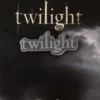 Twilight Saga: Logo Lapel Pin Style C