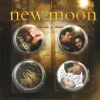 Twilight Saga: New Moon - Jacob Pin (Set of 4)
