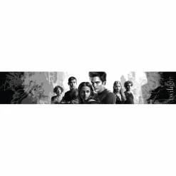 Twilight Saga: Twilight - Bella Swan and the Cullen Family Slap Bracelet