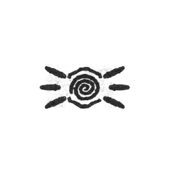 Void of Vision - Chronicles LP Vinyl Record (Coke Bottle Clear Vinyl)