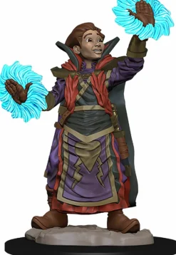 Wardlings - Boy Wizard & Imp Pre-Painted Miniature Figure 2-Pack (Wave 2)