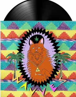 Wavves - King Of The Beach LP Vinyl Record