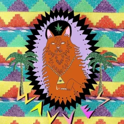 Wavves - King Of The Beach LP Vinyl Record