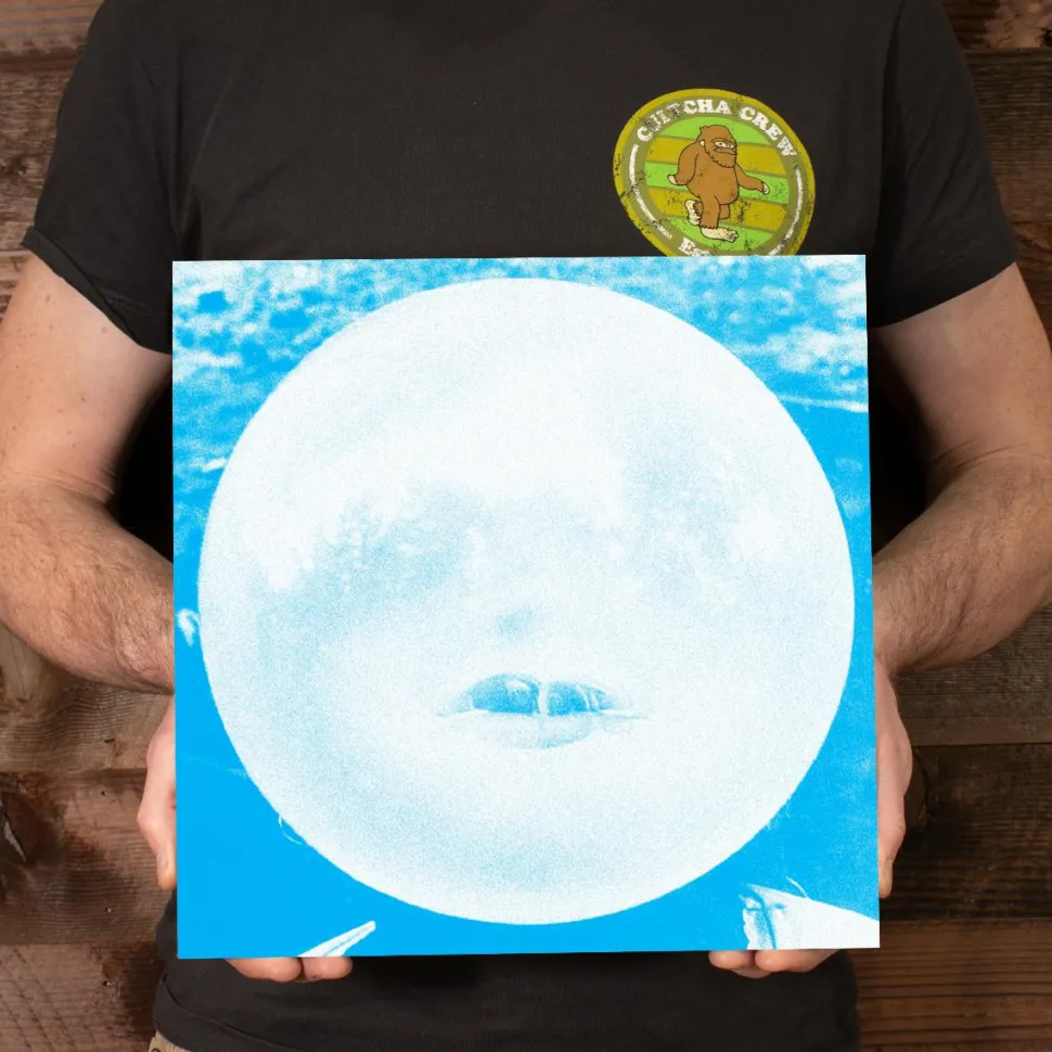 Wilco - Summerteeth Deluxe Edition 5xLP Vinyl Record Boxset