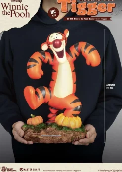 Winnie the Pooh - Tigger Master Craft 15