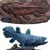 Wonders of the Wild - Coelacanth & Fossil Deluxe 7” Statue